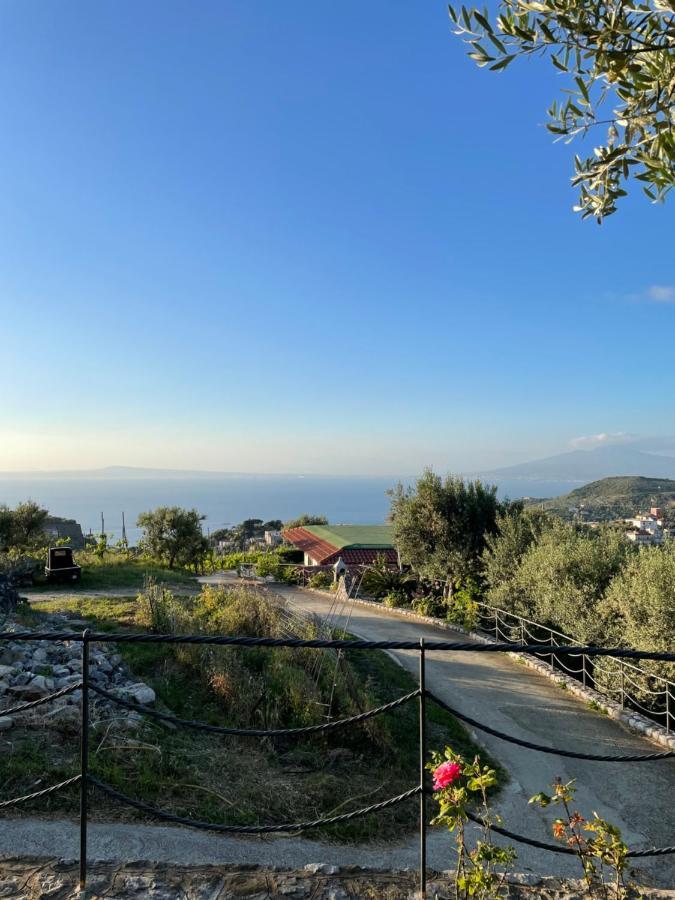 Loren House, Relaxing Location With Seaview マッサ・ルブレンセ エクステリア 写真
